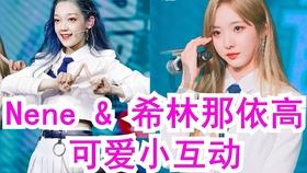小猫钓鱼开船版最新版下载